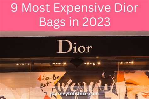 teuerstes dior produkt|most expensive Dior bags.